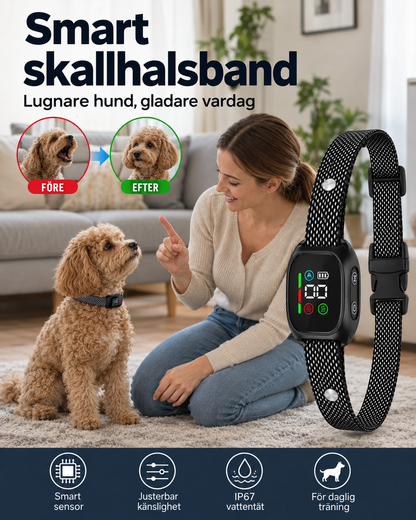 Skonsamt Antiskällhalsband – 50% RABATT